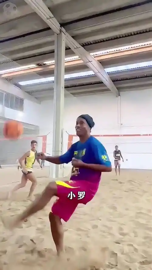 海港与布加