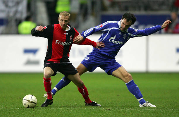 沉着和智慧 沉着和智慧