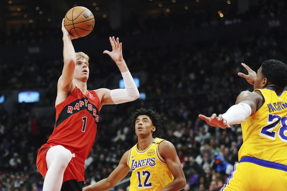 肋部插上 肋部插上